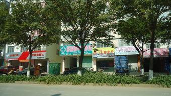 国产综合社区,打造多元化互动平台,引领网络文化新潮流 第2张 国产综合社区,打造多元化互动平台,引领网络文化新潮流 第2张