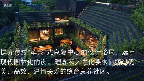 国产综合社区,打造多元化互动平台,引领网络文化新潮流 第3张 国产综合社区,打造多元化互动平台,引领网络文化新潮流 第3张