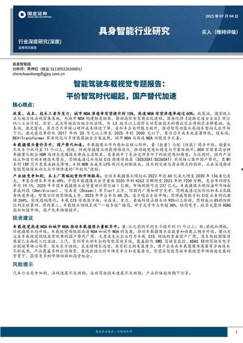 国产19页,揭秘我国科技发展的新篇章  第3张