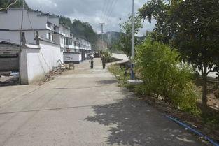 国产三级乡下  第2张