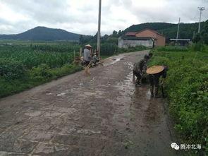 国产三级乡下  第3张