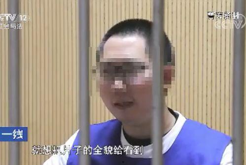 国产91秦先生,揭秘国产影视界的魅力与激情  第2张