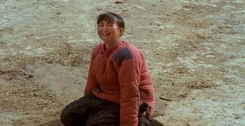 国产91秦先生,揭秘国产影视界的魅力与激情  第3张