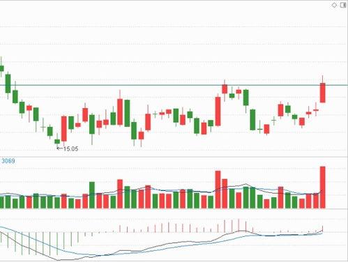国产黄视,探寻中国视觉艺术的独特魅力  第2张