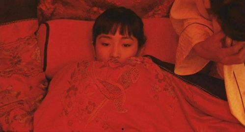 国产大黄片,传承与创新，中医药瑰宝的现代化之路  第3张