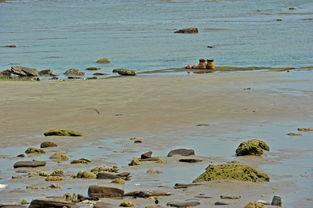 爱情岛国产,探寻异域风情的爱情秘境  第2张